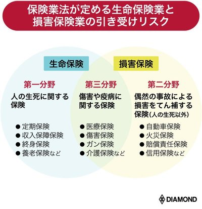 保険業法が定める生命保険業と損害保険業の引き受けリスク