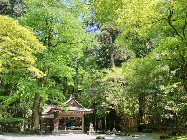 清浄な気が満ちる貴船神社「奥宮」