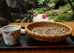 奥久慈「月待ちの滝　もみじ苑」――滝水の下でオゾンを浴び、芳しき緑の蕎麦を食す