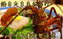 「千葉県いすみ市」の「活き伊勢エビ3～5匹（合計0.7～0.9kg）」