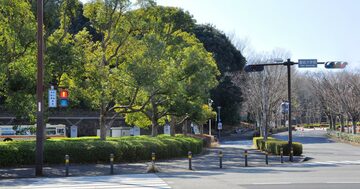 「AO入試って一芸入試でしょ」という親世代が驚く、推薦型入試の最新事情とは?