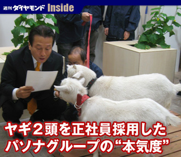 ヤギ２頭を正社員採用したパソナグループの“本気度”