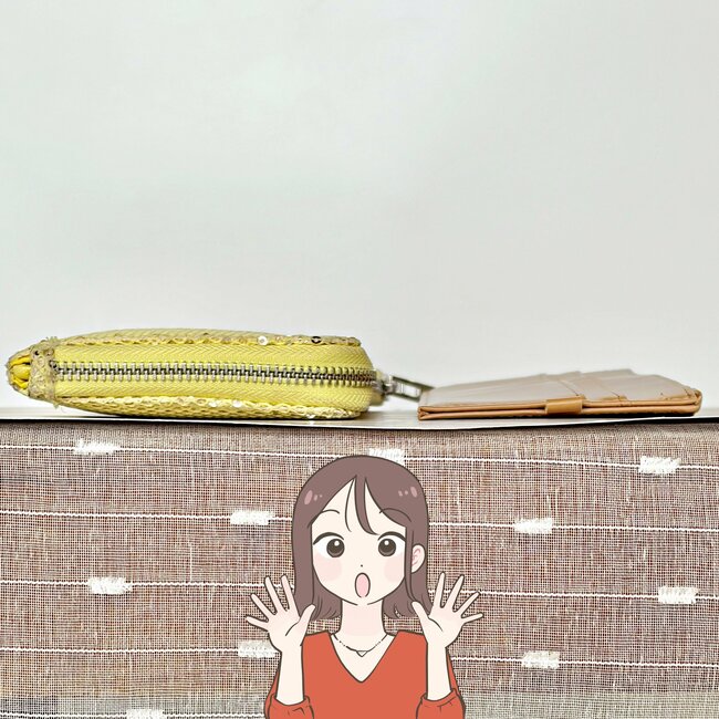 カードや診察券が40枚入った…！ダイソーの「ぺたんこ財布」現金やカードをコンパクトに持ち歩けて嬉しい！