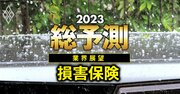 23年に損保3大グループが直面する「懸案事項」、リストラと代理店改革で“春遠し”