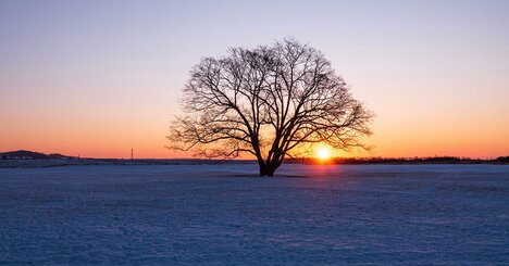 なぜ美食家たちは、北海道・十勝の“過疎の地”に殺到しているのか
