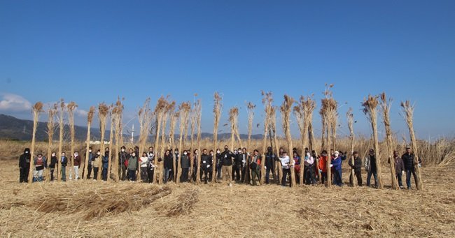 宮内庁に納める淀川のヨシで商品開発、大手企業も採用。持続可能な仕組みを築く