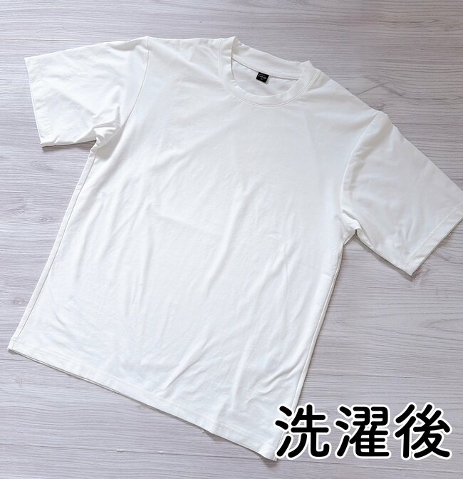 【ワークマン】しょうゆのシミが1度で消えた！980円の「汚れが落ちるTシャツ」の凄すぎる実力《購入レビュー》