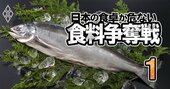 サケ、タコが食卓から消える!?日本の買い負けを決定付ける「三重苦」の正体