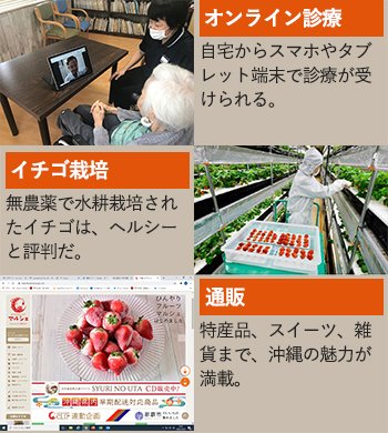 （上）無医島のためのオンライン診療（中）海外輸出も見据えたイチゴ栽培（下）沖縄の特産をネットで通販