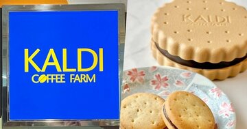 「絶対ほしかったやつ」店舗で見つけたらラッキー！カルディの“お菓子みたいな小物入れ”が可愛すぎる！「買えてよかった」「チョコレート部分も再現」