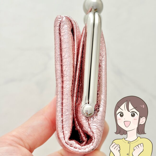 長財布から卒業できました…！ニコアンドの“ポケットたくさんミニ財布”カードが20枚入って便利！「コンパクトバッグに◎」「見た目も使いやすさも最高」