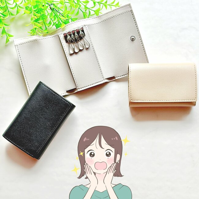 ミニ財布にちょうどいい…！ダイソーの「お札が入るキーケース」カードが10枚も収納できて天才すぎる！《購入レビュー》