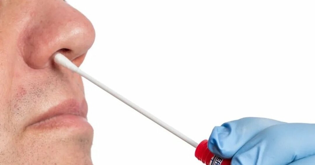 新型コロナ 回復者の約17 がウイルスを保持 喉の痛みや鼻炎に注意 ヘルスデーニュース ダイヤモンド オンライン