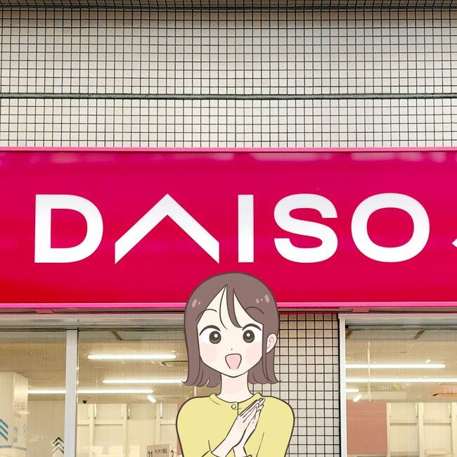 もう普通の財布に戻れないかも…!ダイソーの“高見えミニ財布”カードや診察券が21枚も入って嬉しい!