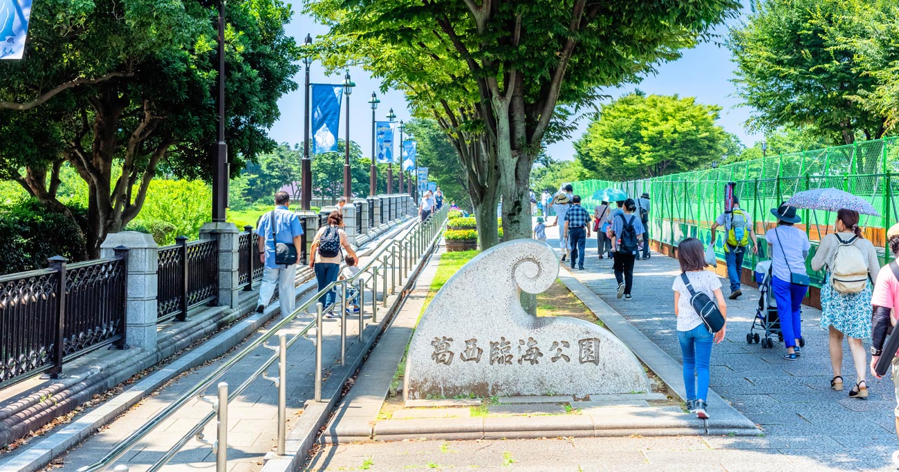 江戸川区,小学校