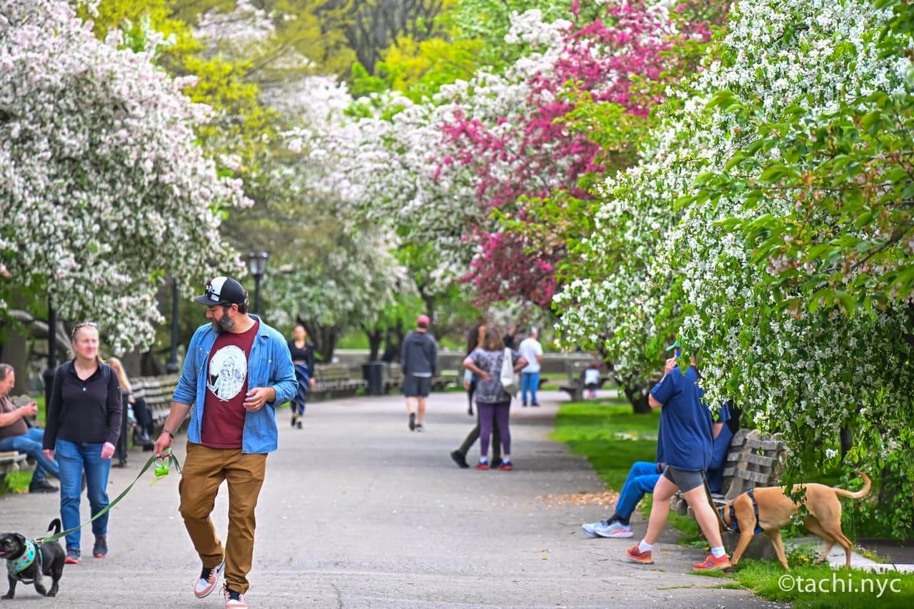 名作ラブコメ映画のラストシーンを疑似体験?ニューヨーク「秘密の花園」の魅力【写真付き】