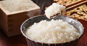 日本人男性の「心血管死リスク」は米食で下がる？男女で違いが生じる理由