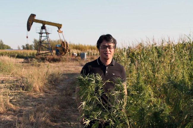 マリフアナには厳格な中国、大麻関連産業は促進