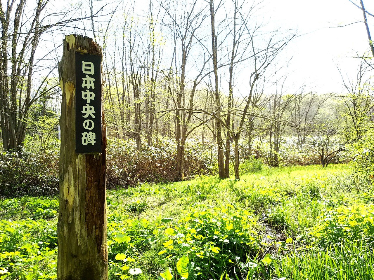 坂上田村麻呂の遺物「日本中央の碑」は本物か、青森の巨石に刻まれた謎を検証