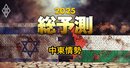 【25年の中東・パレスチナ情勢】米国のイスラエル支援加速で深まる混迷、トランプ政権閣僚人事から読み解く