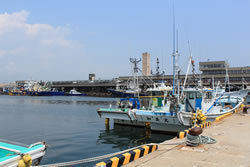 福島・小名浜港に水揚げされた初ガツオ<br />築地市場で値段がつかない風評被害の深刻