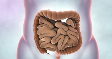 大腸がん発見の新たな切り札「血液検査」に不安発覚!結局、最も有効な検査方法とは?