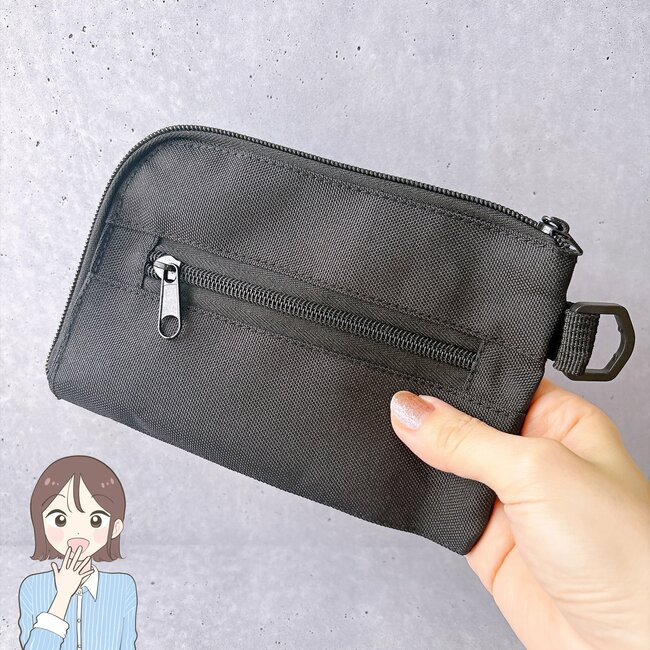 【ダイソー】カードが40枚も入った！ガバッと開く「ぺたんこポーチ」お財布代わりにもなって優秀！《購入レビュー》