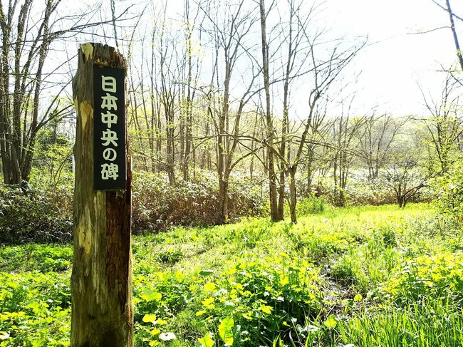 坂上田村麻呂の遺物「日本中央の碑」は本物か、青森の巨石に刻まれた謎を検証