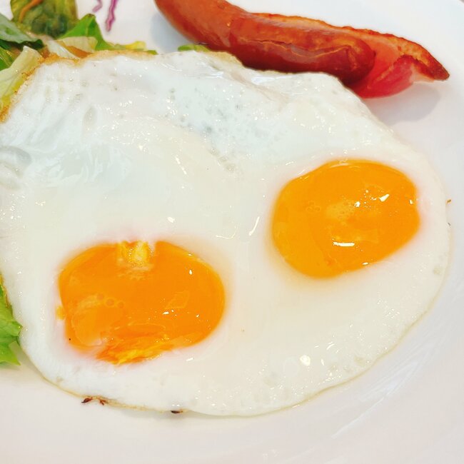 朝からプチ贅沢できて幸せ…!ガストの「盛りだくさんモーニング」ドリンクバー付きでついつい長居したくなる!