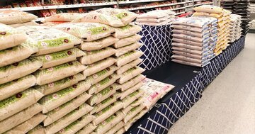 残念ですが、新米が出ても安くなりません…農家でもJAでもない、コメ高騰の「真の原因」とは？