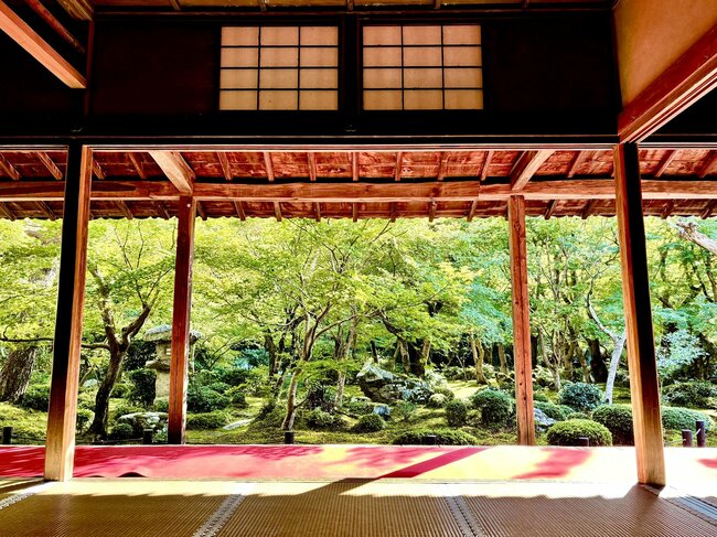 圓光寺(左京区)の「十牛之庭」