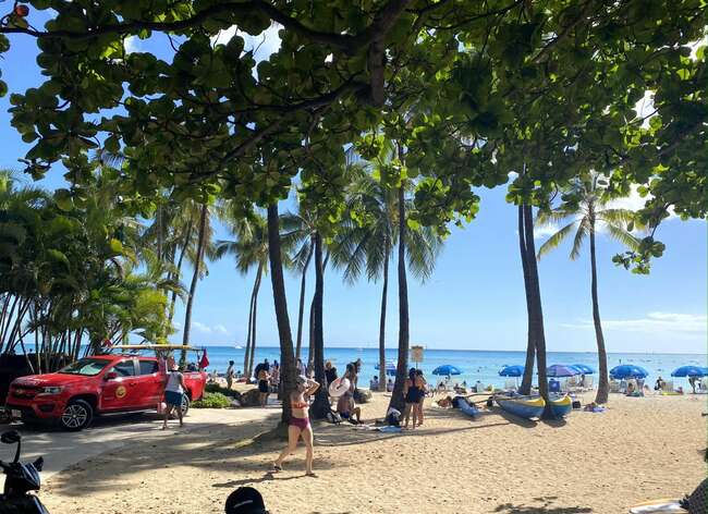 初ハワイ旅行の人が120％楽しめる！4泊6日のモデルコース【地球の歩き方】