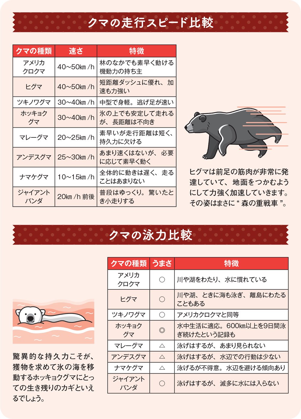 図:クマの走行スピード比較、クマの泳力比較