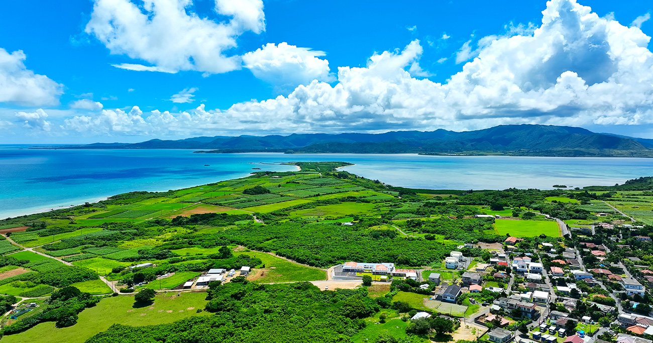 青い海と緑豊かな島を望む風景