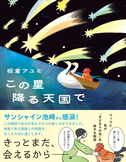 この星降る天国で