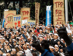 TPPは危機ではなく好機<br />農協の逆襲にすくむ菅政権