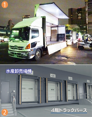 豊洲新市場、移転延期でも解決できない根本的欠陥