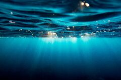 海洋パワーでCO2除去、画期的プロジェクトが続々