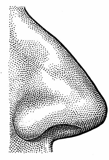コロナで味覚障害、シェフはどう乗り越えているか