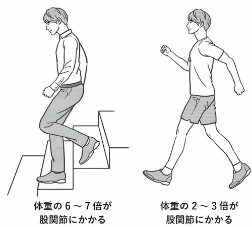 体重の6～7倍が股関節にかかる