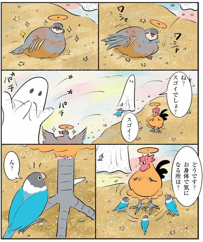 コッコの脚に糸がついていることに気づくボタンインコ