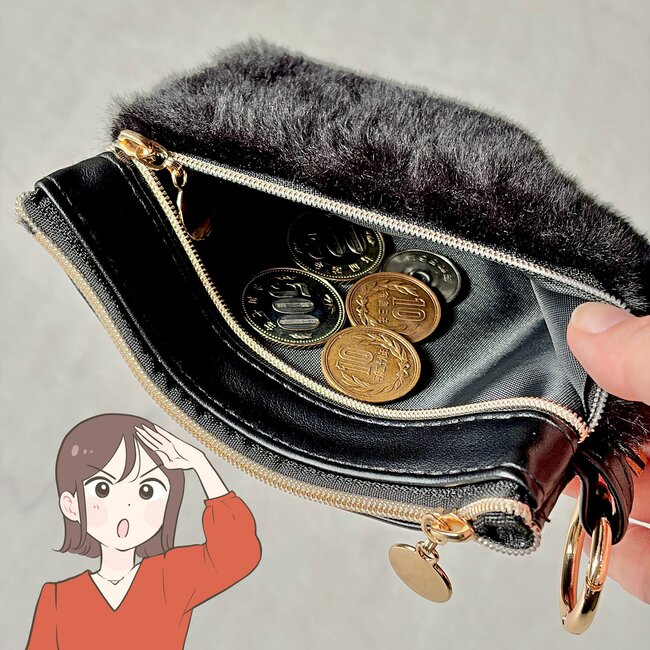 カードが80枚も入った！ダイソー姉妹店の「大人かわいいポーチ」ミニ財布がわりに使えて天才！《購入レビュー》