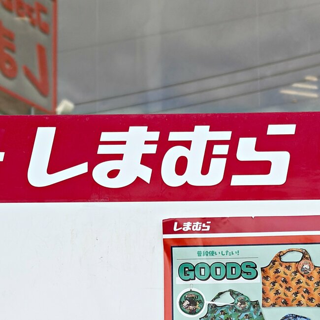 【しまむら】お薬手帳と診察券45枚がスッポリ！1089円の「ポケットたくさんケース」昭和レトロなデザインがたまらない！《購入レビュー》