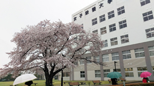 女子栄養大学で経営学講義 読んで書いて演じる で学ぶ 三谷流構造的やわらか発想法 ダイヤモンド オンライン