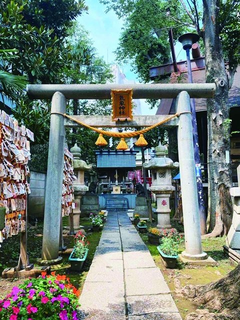 もともと高円寺北の旧陸軍気象部内にあった神社をこちらに遷座