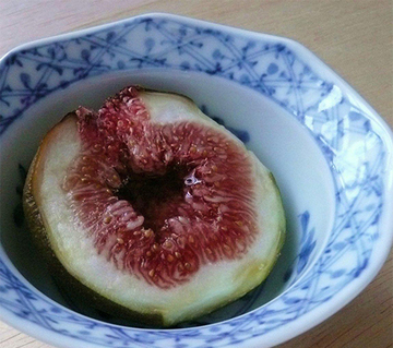 不老長寿の秘薬と言われた｢無花果《いちじく》｣ 干したものは参勤交代のお供に