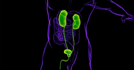 温暖化の脅威！高気温で腎疾患による入院が増加する研究結果