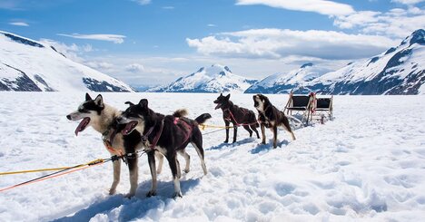 「なんでこんなこと考えてるんだ？」野垂れ死に寸前の北極徒歩旅行を続ける探検家が思わず“ゾッとした瞬間”
