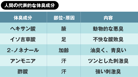 共創でリニューアル！加齢臭対策に焦点を当てたボディウォッシュ「デ・オウ」の開発秘話