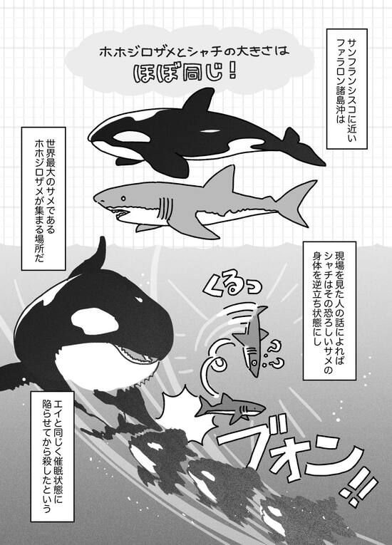 【マンガ】エイをピザのように分け合い、アザラシを氷から叩き落とし、世界最大の「ホホジロザメ」を催眠状態にして葬る…「シャチ」に襲われた動物の無惨な最期とは